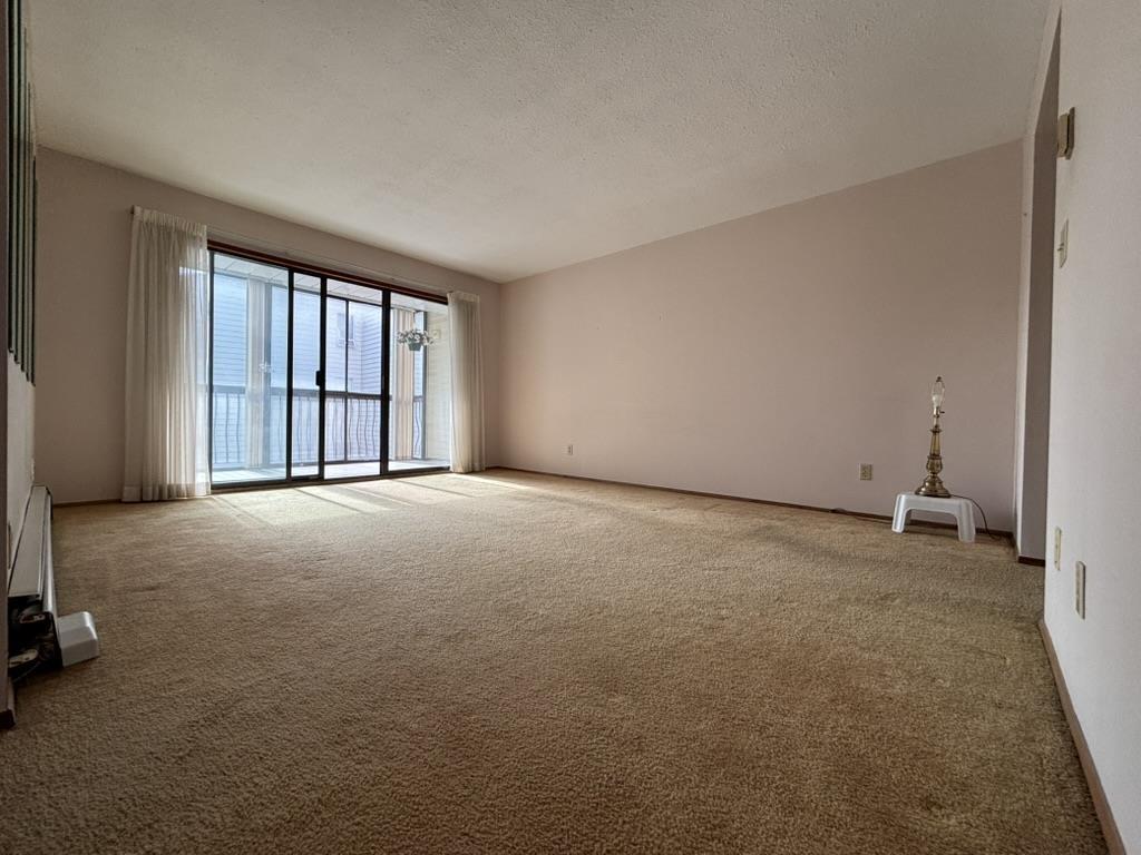 Property at 204 32055 OLD YALE ROAD image 3