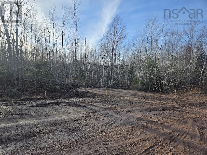 Lot 12 Joudrey Road, Louisville, Nova Scotia  B0K 1N0 - Photo 4 - 202420827