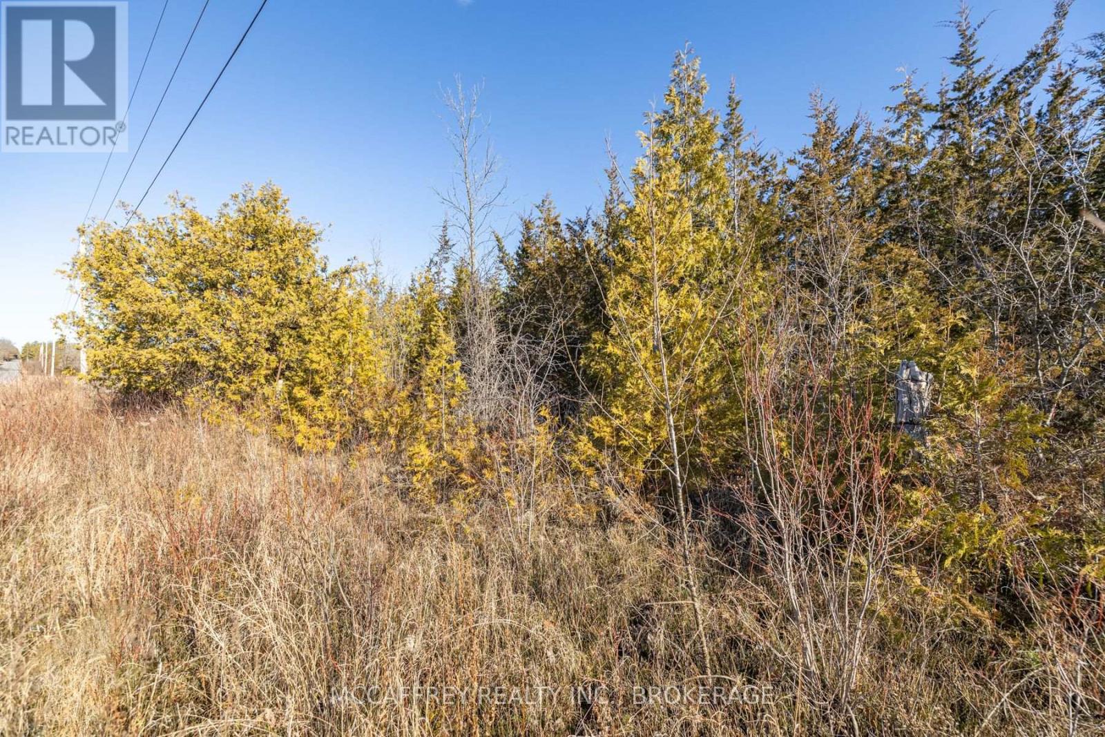 0 Pine Grove Road, Greater Napanee, Ontario  K0K 2W0 - Photo 27 - X12313946