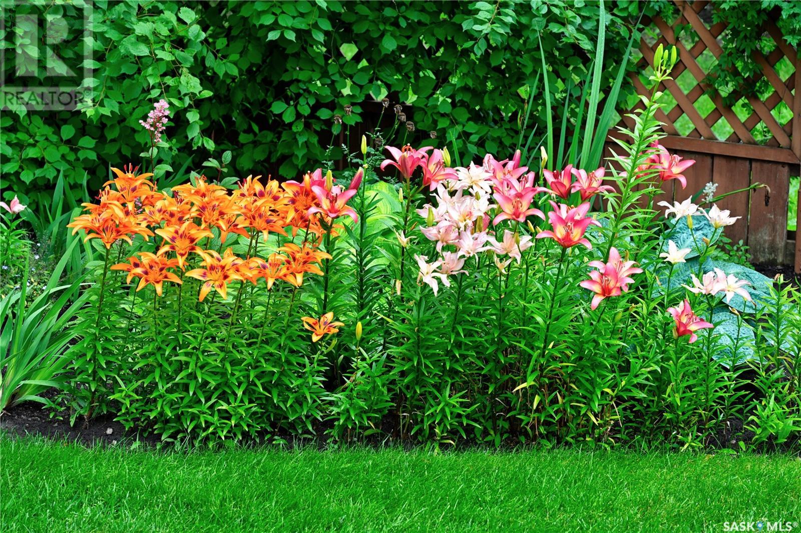 213 Badger Court, Saskatoon, Saskatchewan  S7N 2X2 - Photo 45 - SK013900