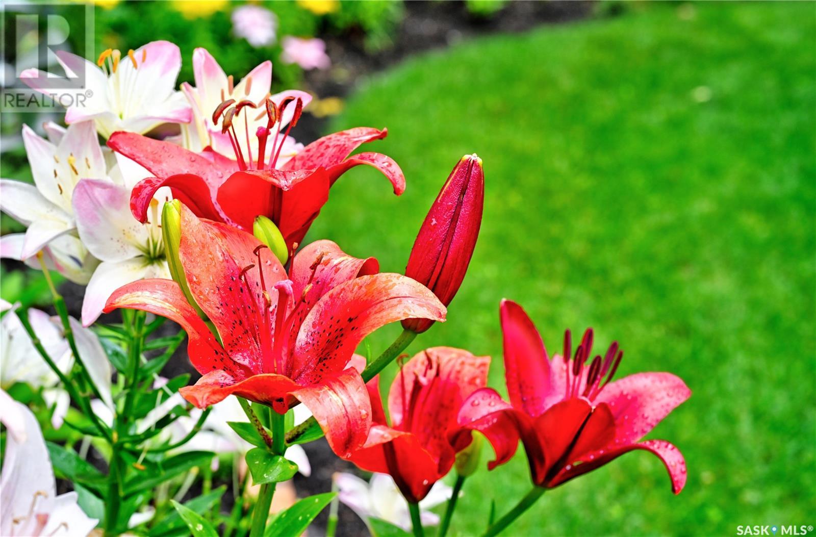 213 Badger Court, Saskatoon, Saskatchewan  S7N 2X2 - Photo 42 - SK013900