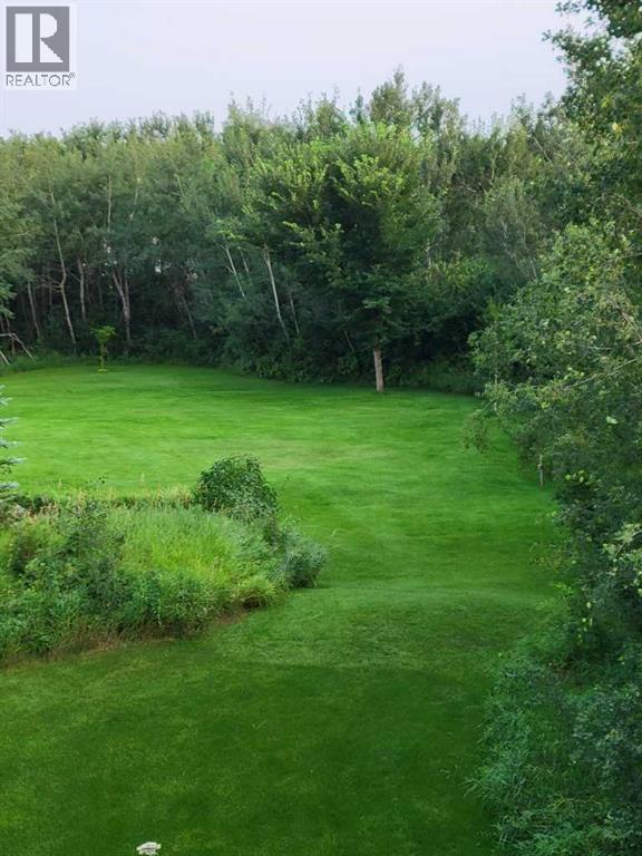 6 Cedar Crescent, M.d. Of, Alberta  T9W 1T2 - Photo 46 - A2242137