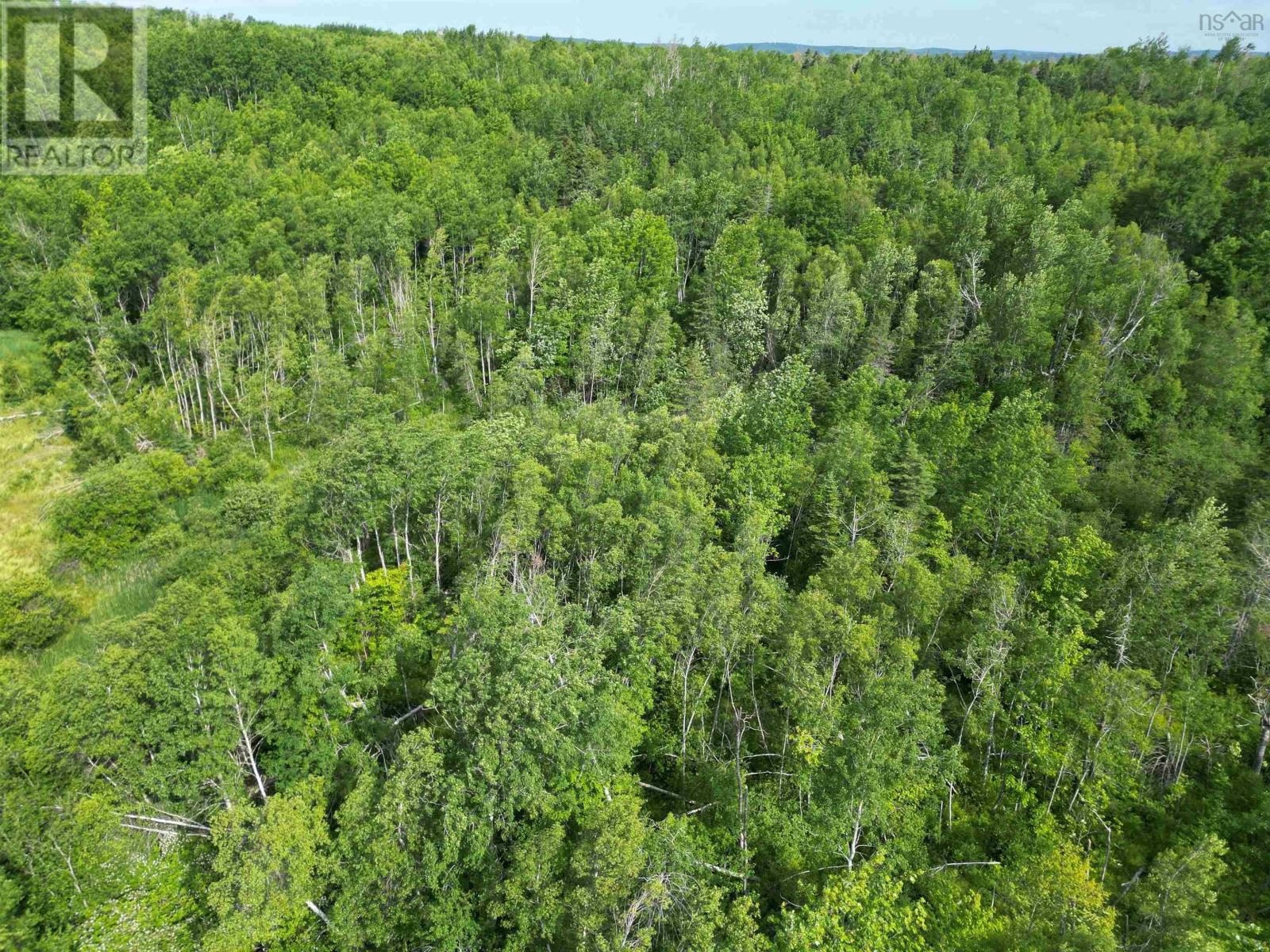 Lot Highway 104, West River, Nova Scotia B0K 1P0 - Photo 6 - 202515764