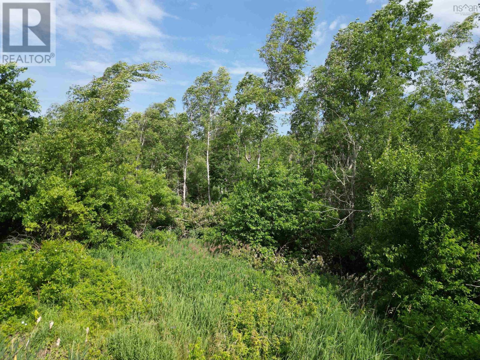 Lot Highway 104, West River, Nova Scotia B0K 1P0 - Photo 7 - 202515764