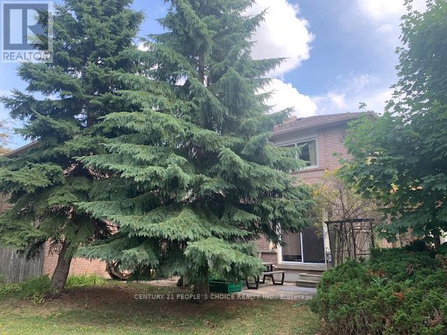 72 - 5420 Fallingbrook Drive, Mississauga, Ontario  L5V 2H6 - Photo 38 - W12308607