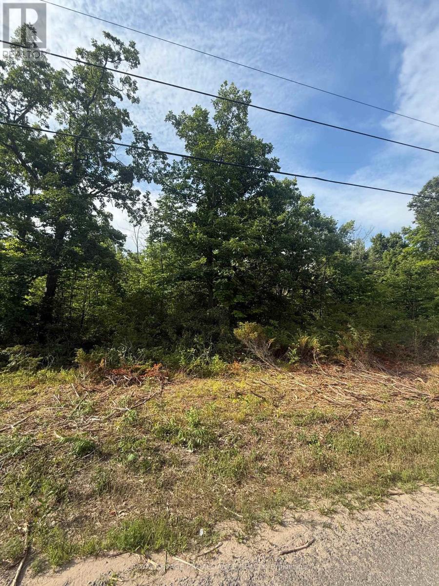 0 Rockhaven Road, Marmora And Lake, Ontario  K0K 2M0 - Photo 2 - X12314154