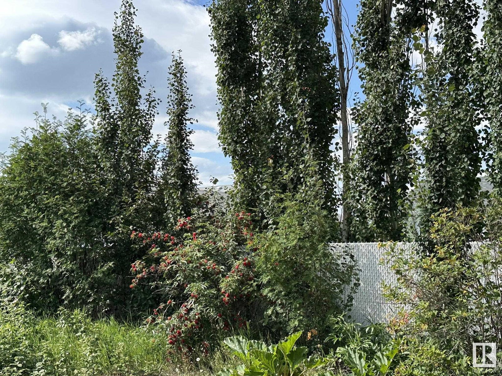 4318 54 Av, Smoky Lake Town, Alberta  T0A 3C0 - Photo 66 - E4450238