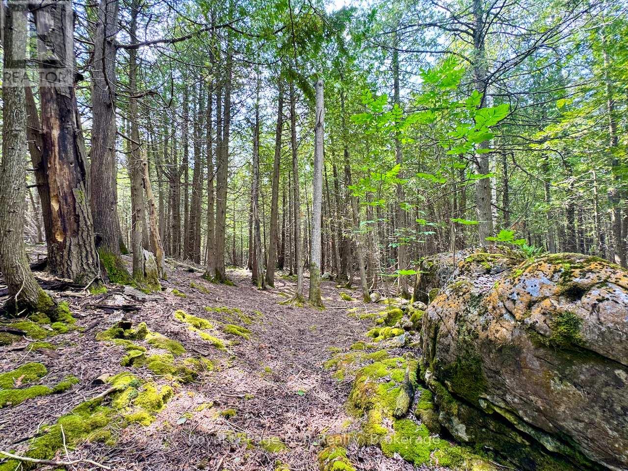 323 East Road Rr 4 Road, Northern Bruce Peninsula, Ontario  N0H 1W0 - Photo 35 - X12314257