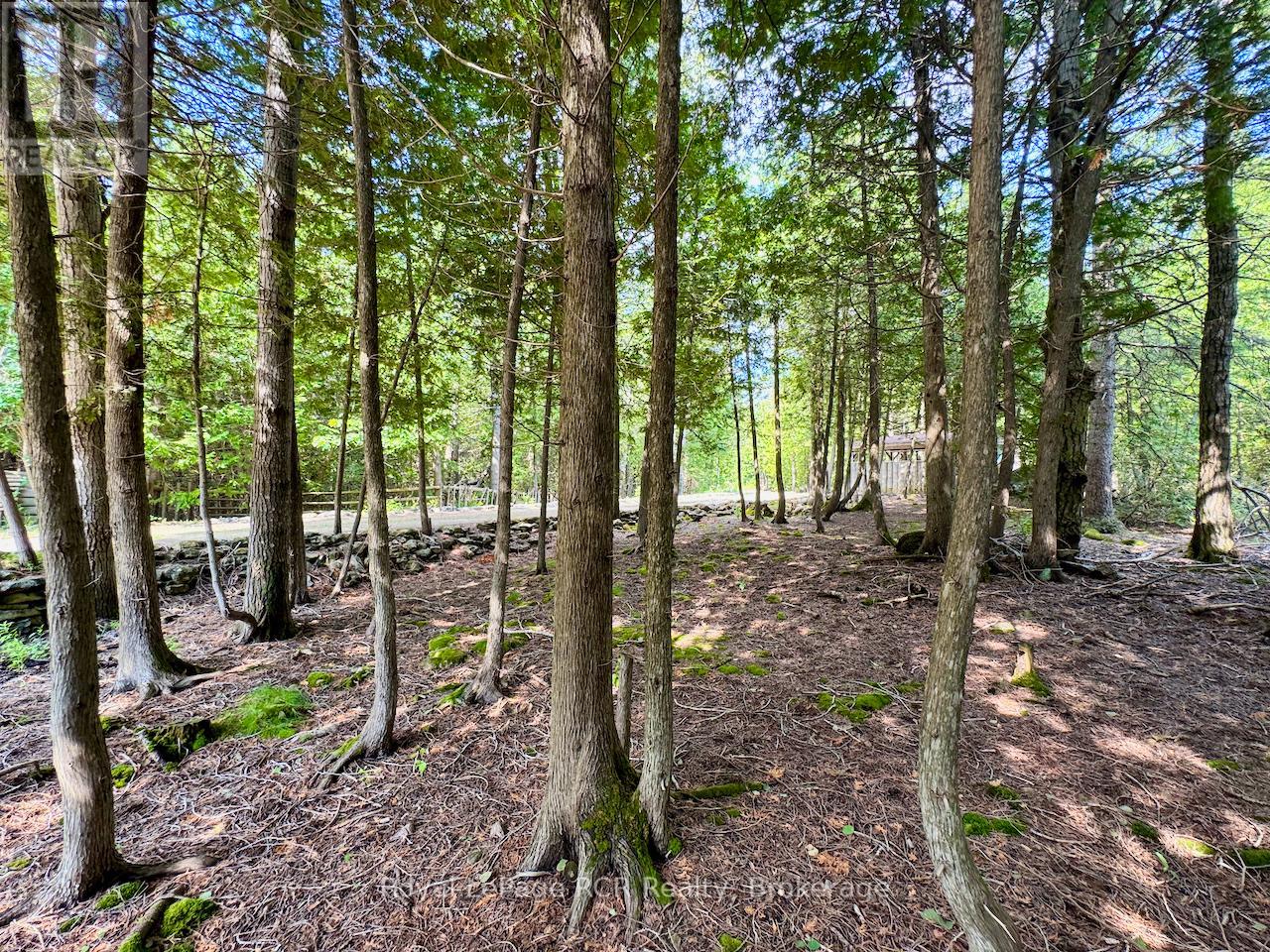 323 East Road Rr 4 Road, Northern Bruce Peninsula, Ontario  N0H 1W0 - Photo 37 - X12314257