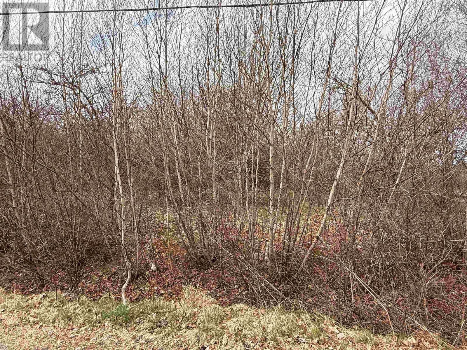 Lot Cavelle Avenue, Canning, Nova Scotia  B0P 1H0 - Photo 4 - 202509099