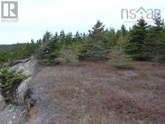 Lot 8 Holland Harbour, Holland Harbour, Nova Scotia  B0J 3C0 - Photo 11 - 202418983