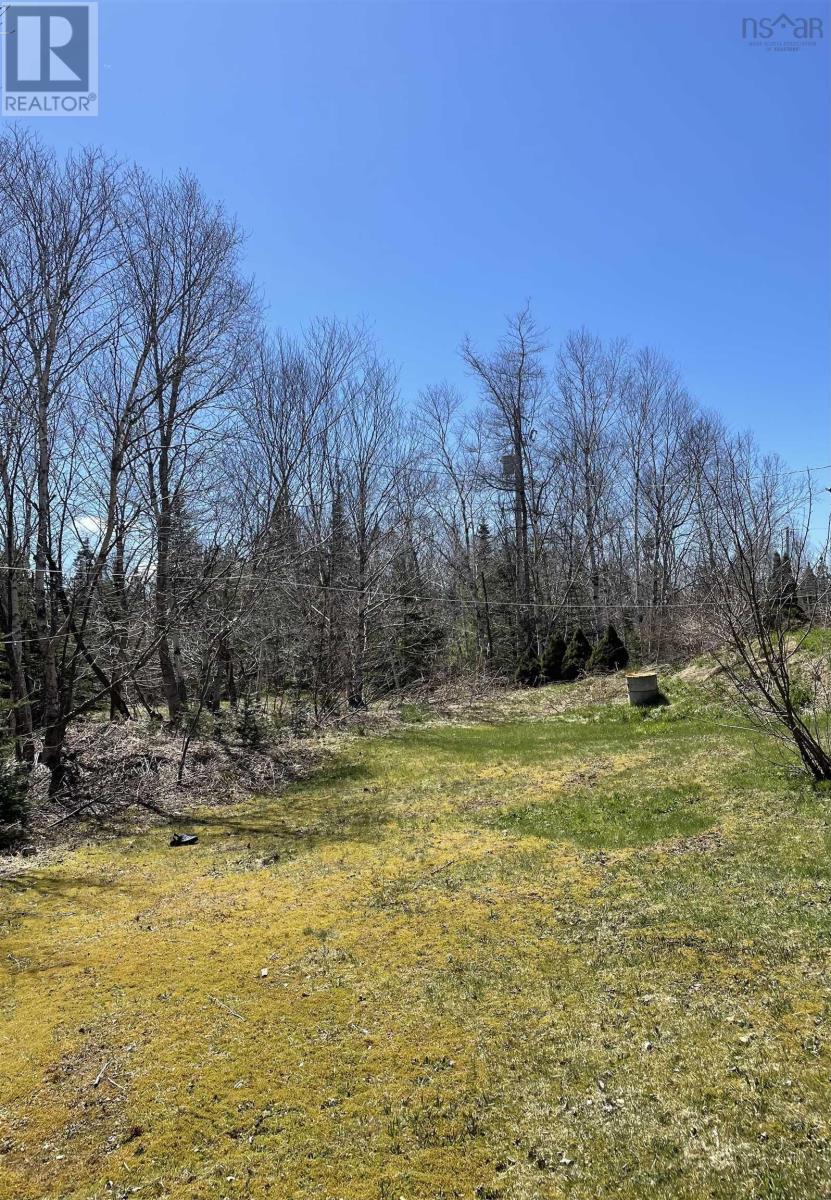 492 Crandall Road, Port Hawkesbury, Nova Scotia  B9A 1W9 - Photo 6 - 202503655
