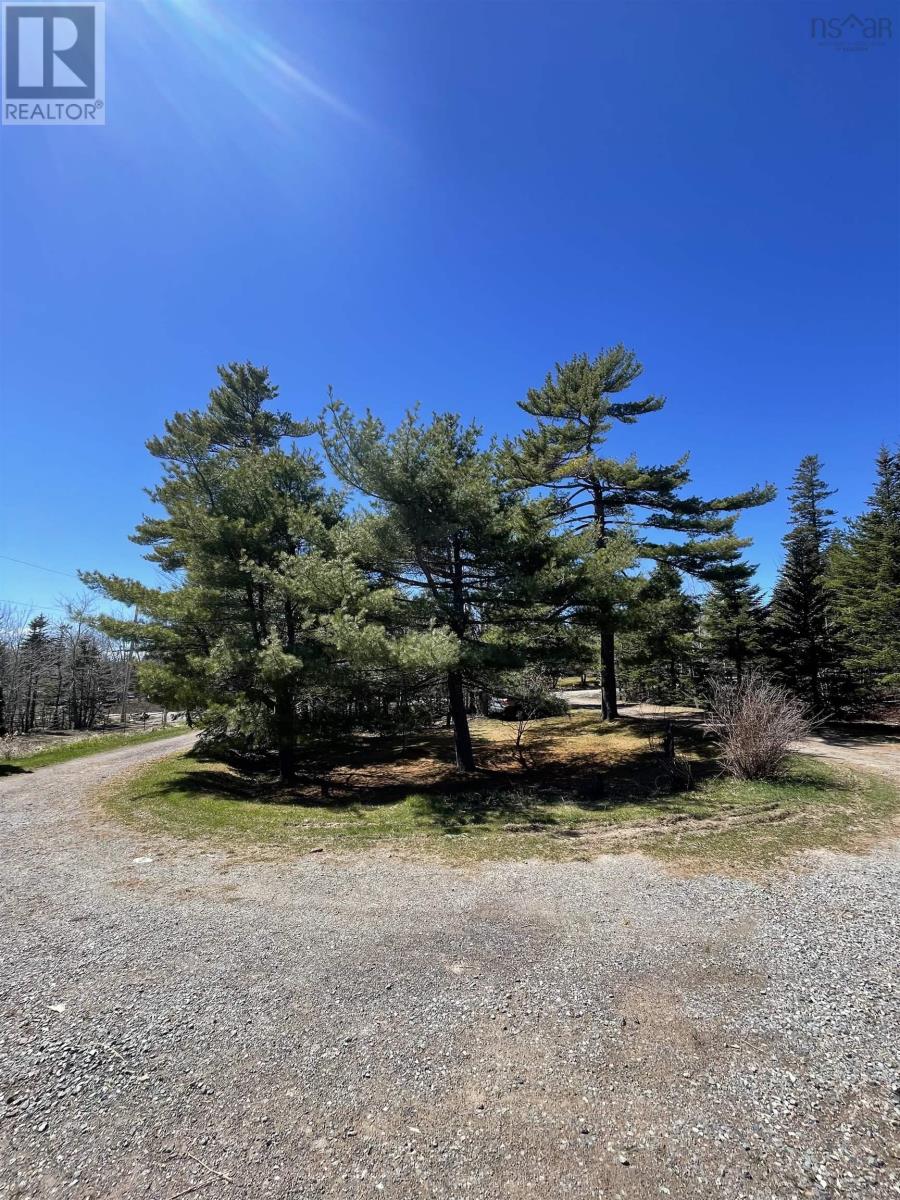 492 Crandall Road, Port Hawkesbury, Nova Scotia  B9A 1W9 - Photo 1 - 202503655