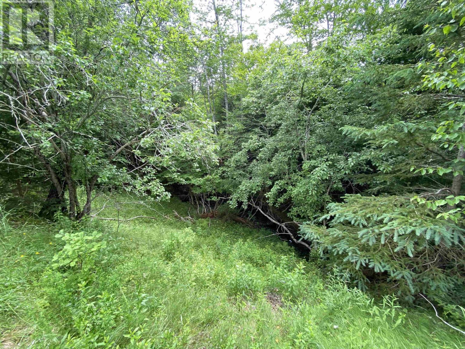 4460 Highway 215, Noel, Nova Scotia  B0N 0B4 - Photo 15 - 202516295