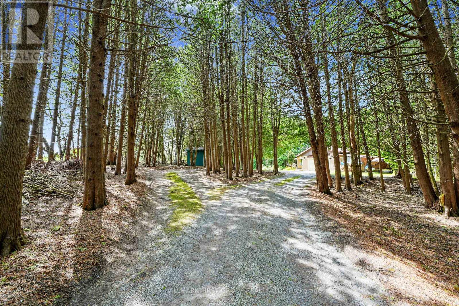 6200 Campbell Road, Port Hope, Ontario  L1A 3V8 - Photo 46 - X12147492