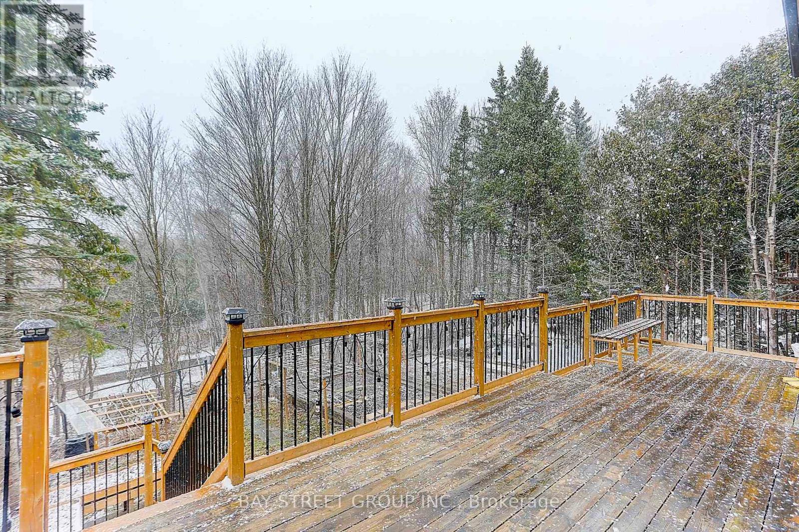 955 Portminster Court, Newmarket, Ontario  L3X 1L8 - Photo 47 - N12314472