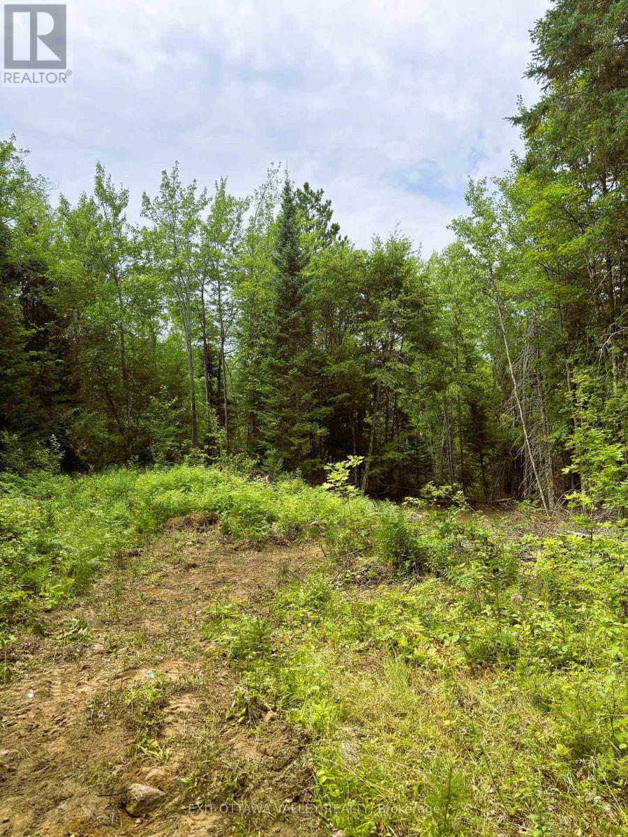 00 Siberia Road, Madawaska Valley, Ontario  K0J 1B0 - Photo 16 - X12313723