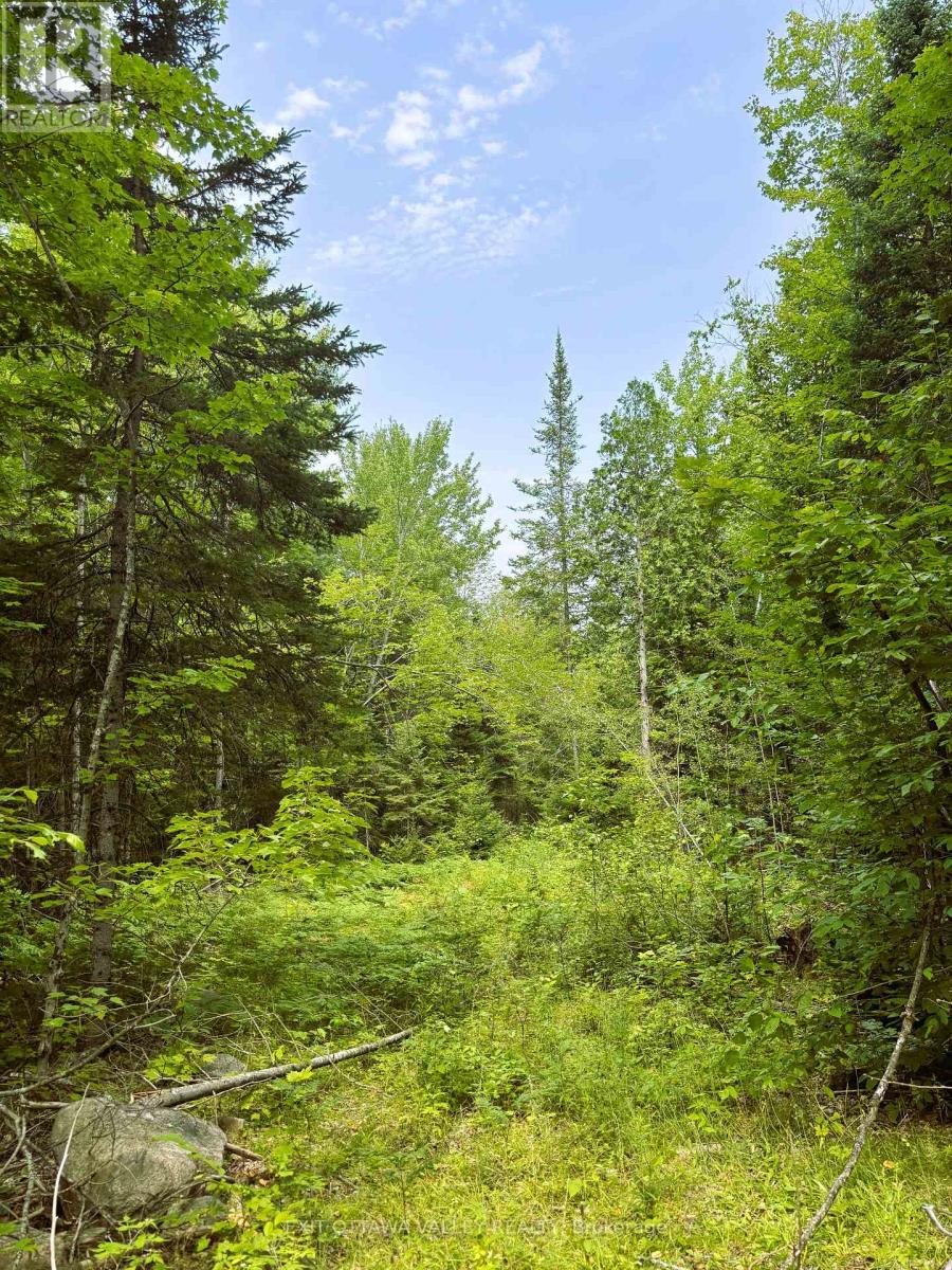 00 Siberia Road, Madawaska Valley, Ontario  K0J 1B0 - Photo 14 - X12313723