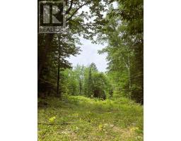 00 SIBERIA ROAD, Madawaska Valley, Ontario