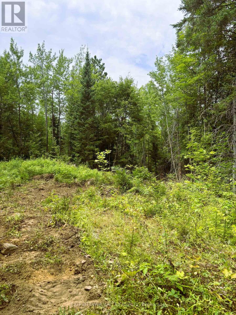 00 Siberia Road, Madawaska Valley, Ontario  K0J 1B0 - Photo 18 - X12313723