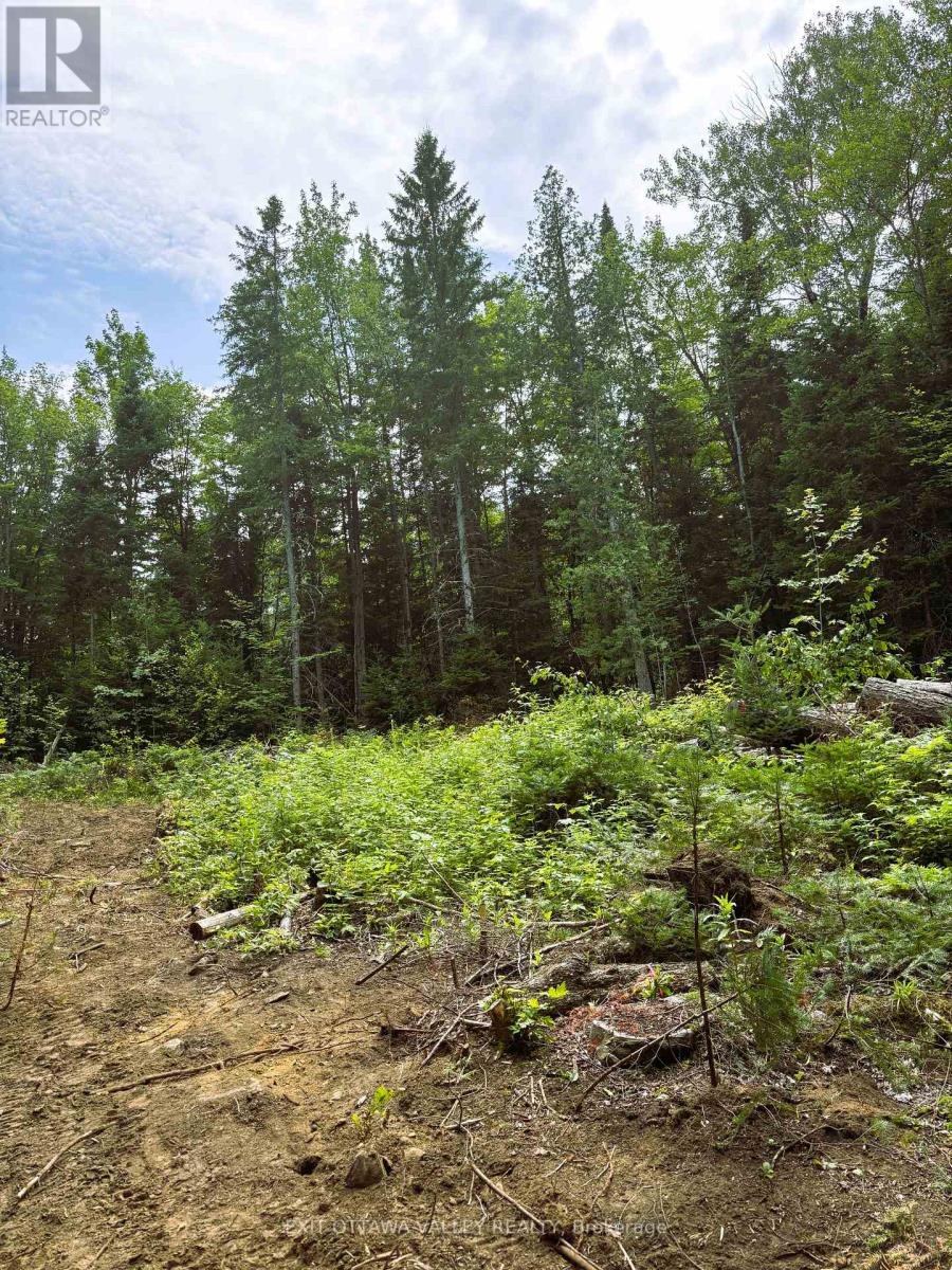 00 Siberia Road, Madawaska Valley, Ontario  K0J 1B0 - Photo 2 - X12313723