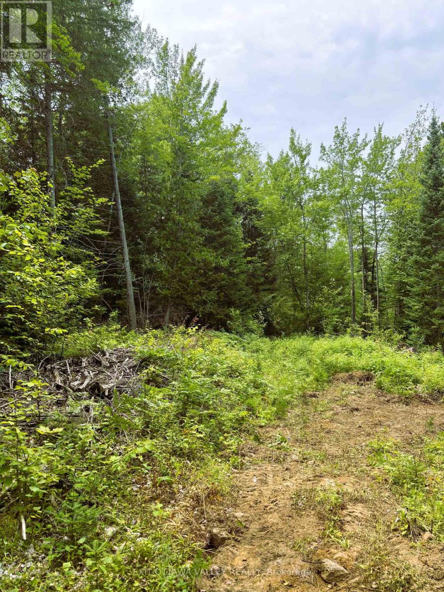 00 Siberia Road, Madawaska Valley, Ontario  K0J 1B0 - Photo 11 - X12313723