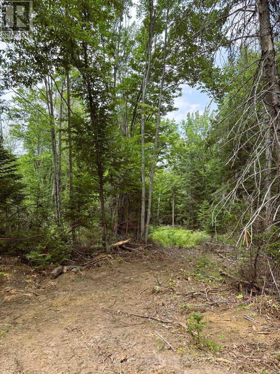 00 Siberia Road, Madawaska Valley, Ontario  K0J 1B0 - Photo 22 - X12313723