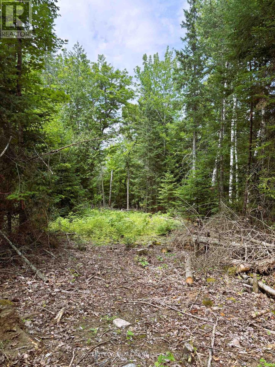 00 Siberia Road, Madawaska Valley, Ontario  K0J 1B0 - Photo 21 - X12313723