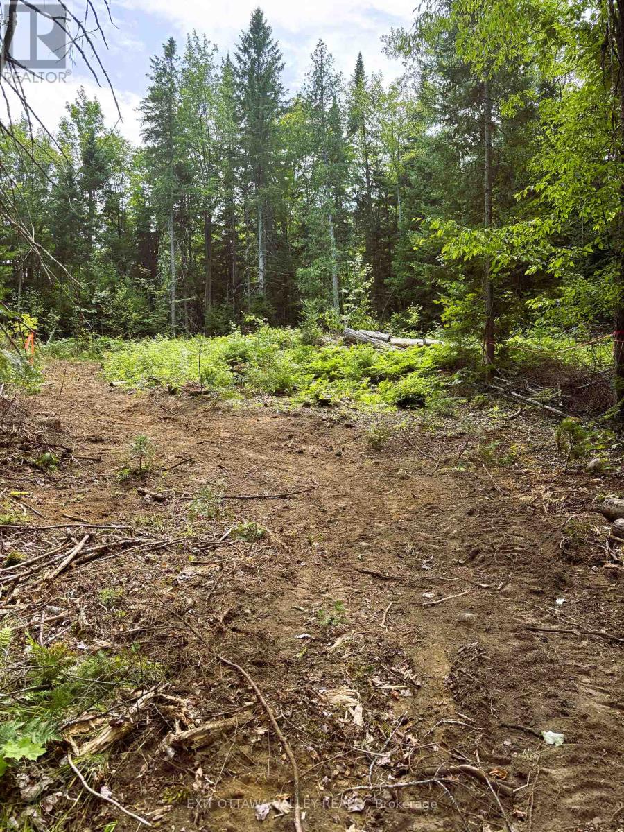 00 Siberia Road, Madawaska Valley, Ontario  K0J 1B0 - Photo 24 - X12313723