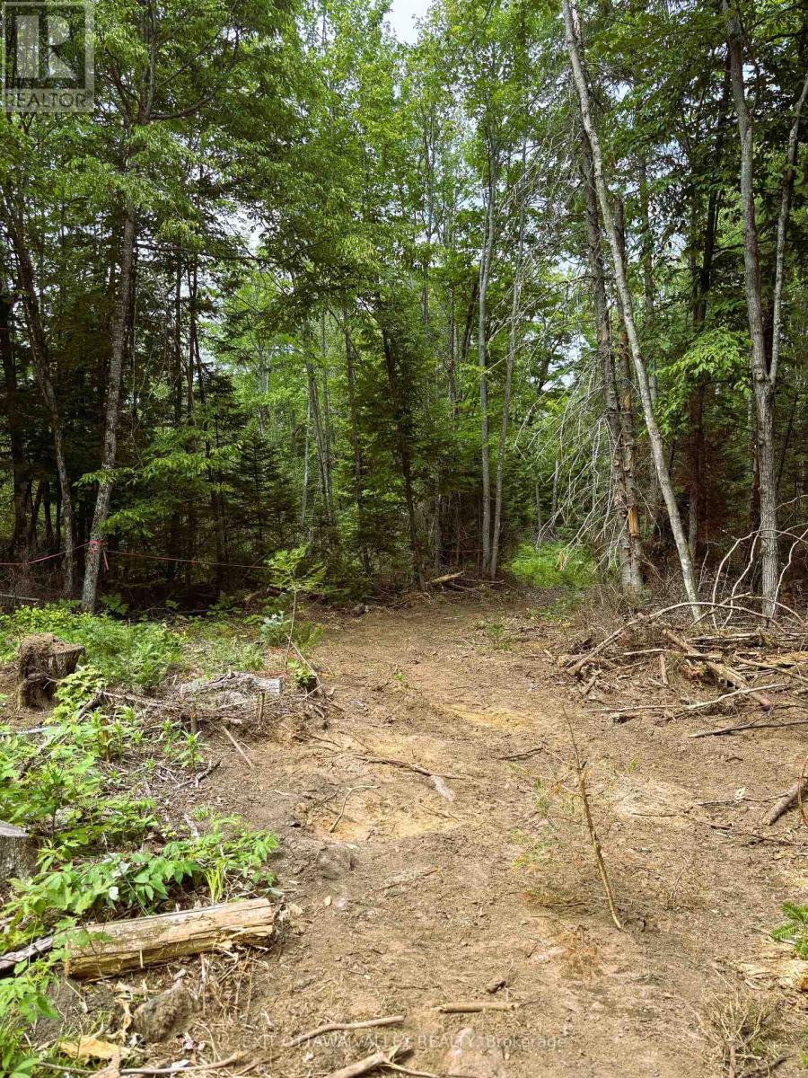 00 Siberia Road, Madawaska Valley, Ontario  K0J 1B0 - Photo 20 - X12313723