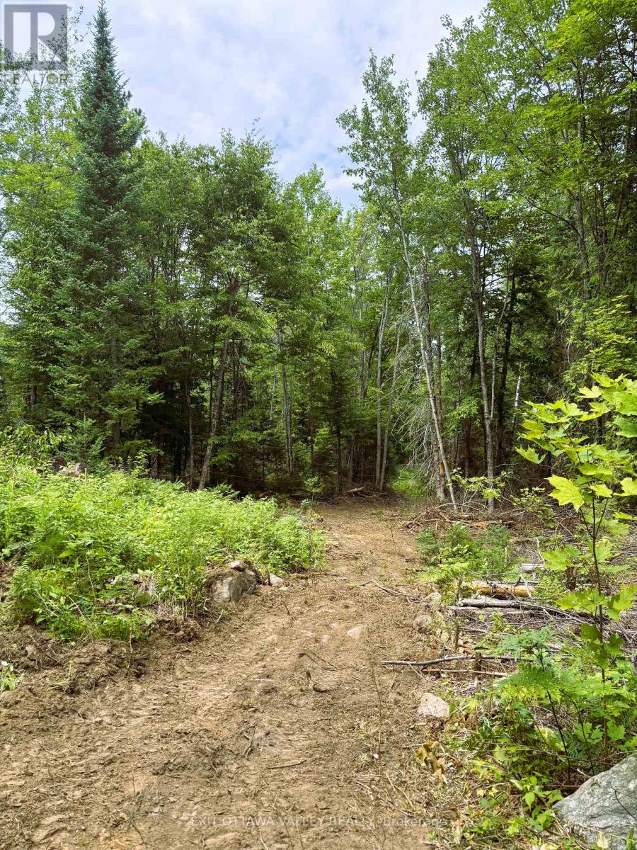 00 Siberia Road, Madawaska Valley, Ontario  K0J 1B0 - Photo 19 - X12313723
