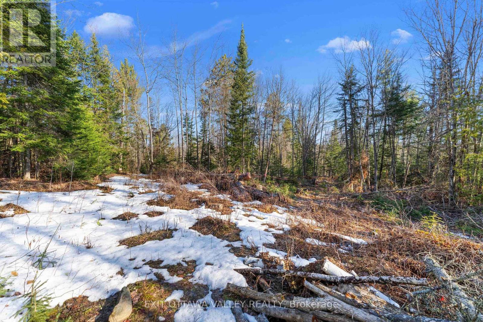 00 Siberia Road, Madawaska Valley, Ontario  K0J 1B0 - Photo 27 - X12313723