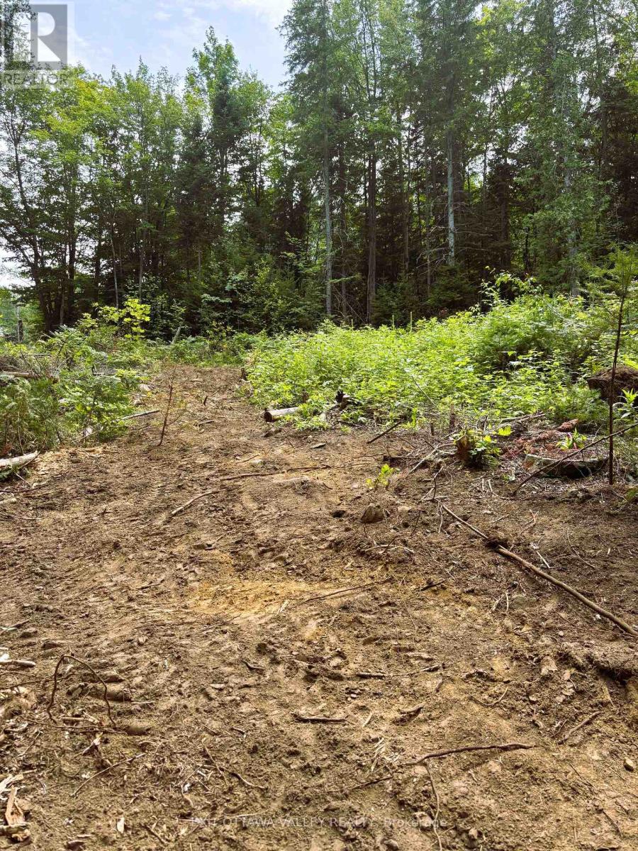 00 Siberia Road, Madawaska Valley, Ontario  K0J 1B0 - Photo 26 - X12313723