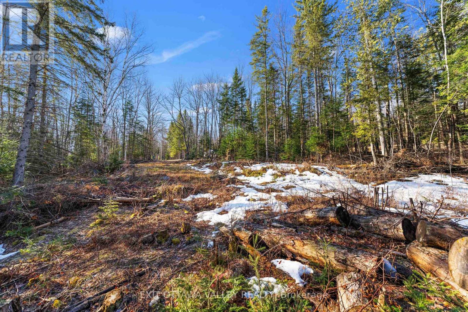 00 Siberia Road, Madawaska Valley, Ontario  K0J 1B0 - Photo 28 - X12313723