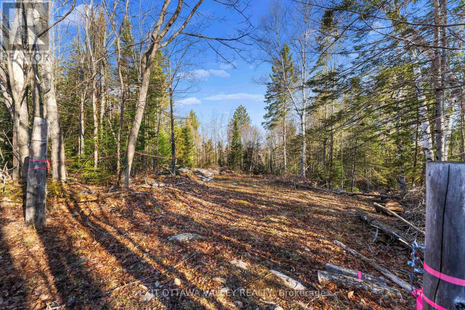 00 Siberia Road, Madawaska Valley, Ontario  K0J 1B0 - Photo 29 - X12313723