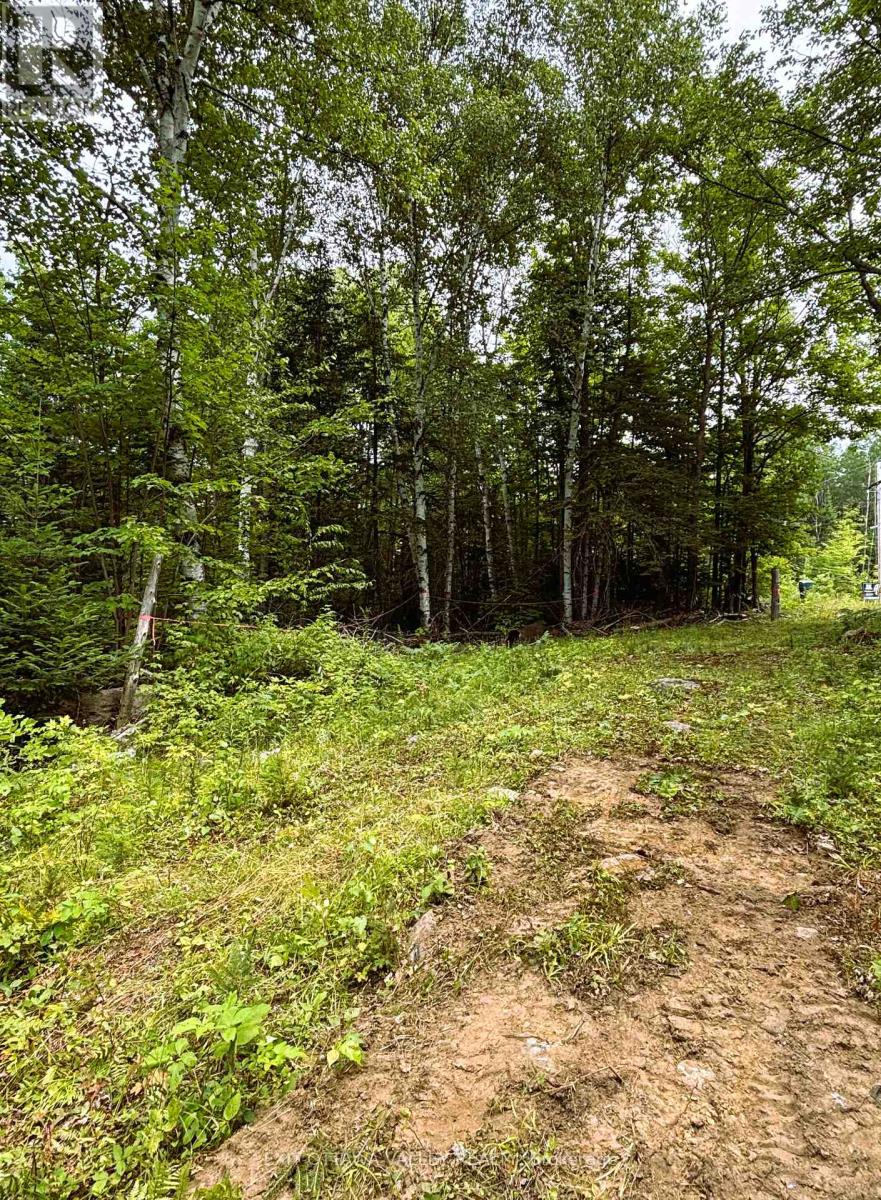 00 Siberia Road, Madawaska Valley, Ontario  K0J 1B0 - Photo 7 - X12313723