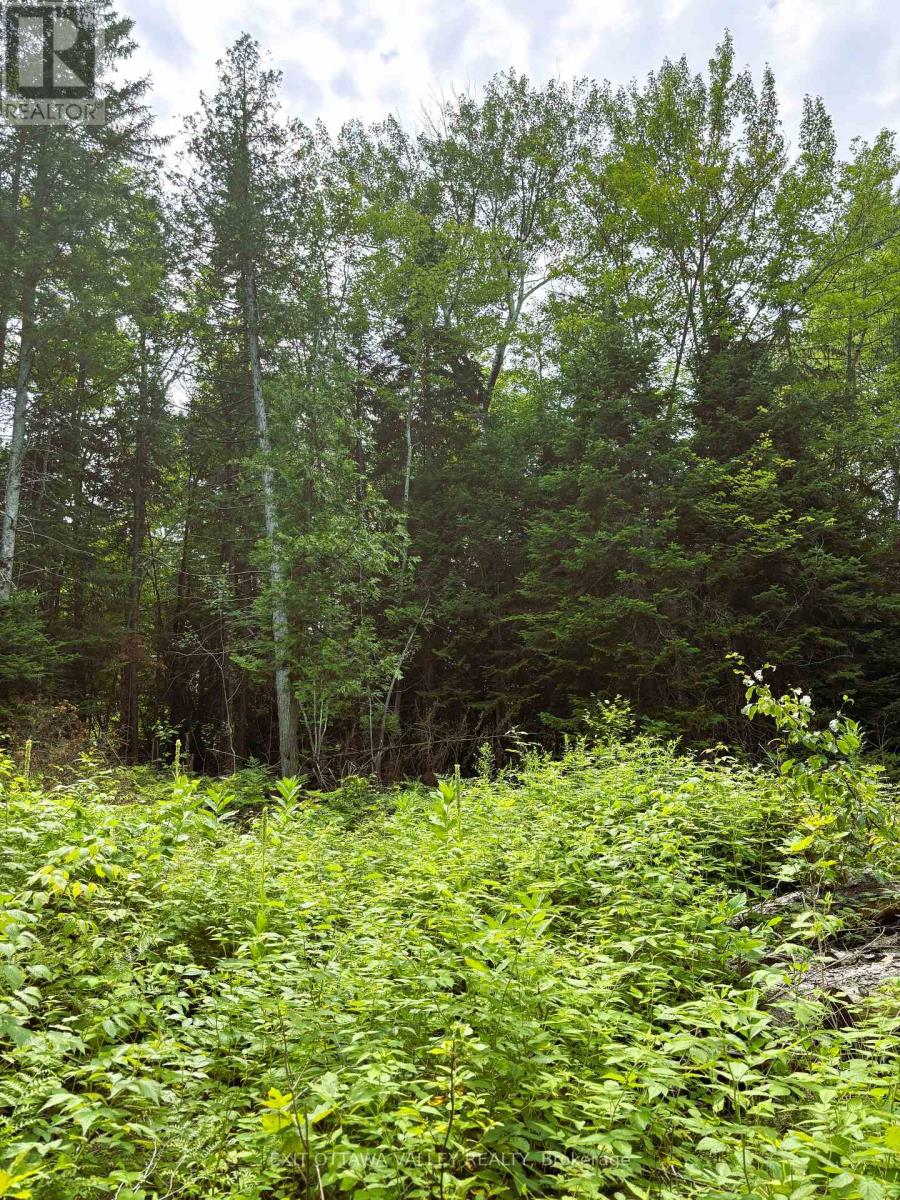 00 Siberia Road, Madawaska Valley, Ontario  K0J 1B0 - Photo 6 - X12313723