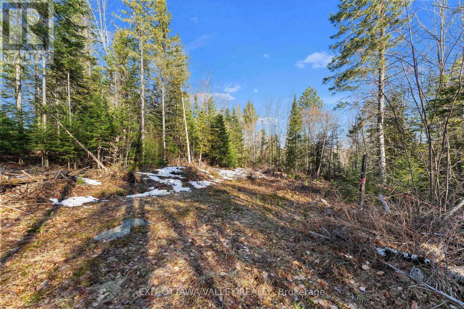 00 Siberia Road, Madawaska Valley, Ontario  K0J 1B0 - Photo 30 - X12313723
