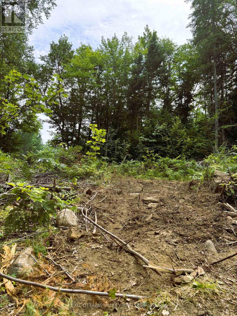 00 Siberia Road, Madawaska Valley, Ontario  K0J 1B0 - Photo 5 - X12313723