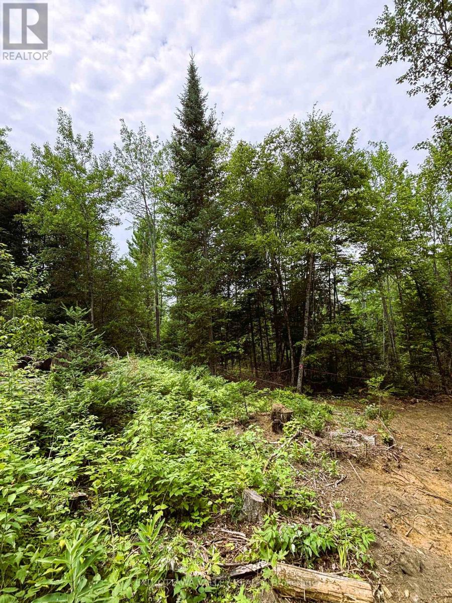00 Siberia Road, Madawaska Valley, Ontario  K0J 1B0 - Photo 4 - X12313723