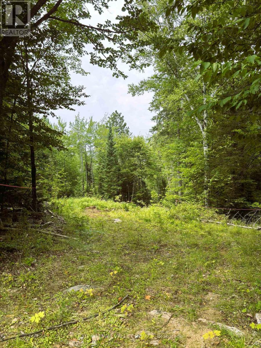 00 Siberia Road, Madawaska Valley, Ontario  K0J 1B0 - Photo 8 - X12313723