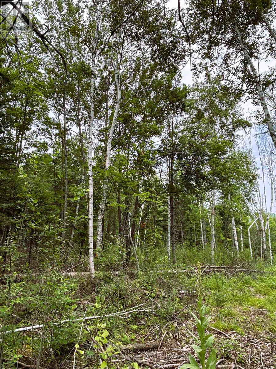 001 Siberia Road, Madawaska Valley, Ontario  K0J 1B0 - Photo 10 - X12312462