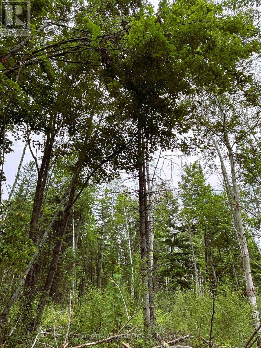 001 Siberia Road, Madawaska Valley, Ontario  K0J 1B0 - Photo 2 - X12312462