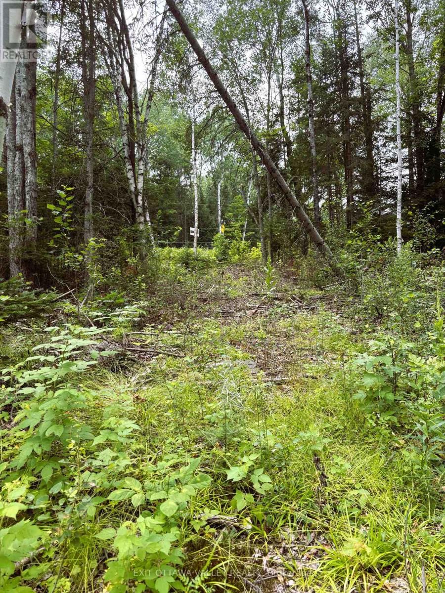 001 SIBERIA ROAD, Madawaska Valley, Ontario