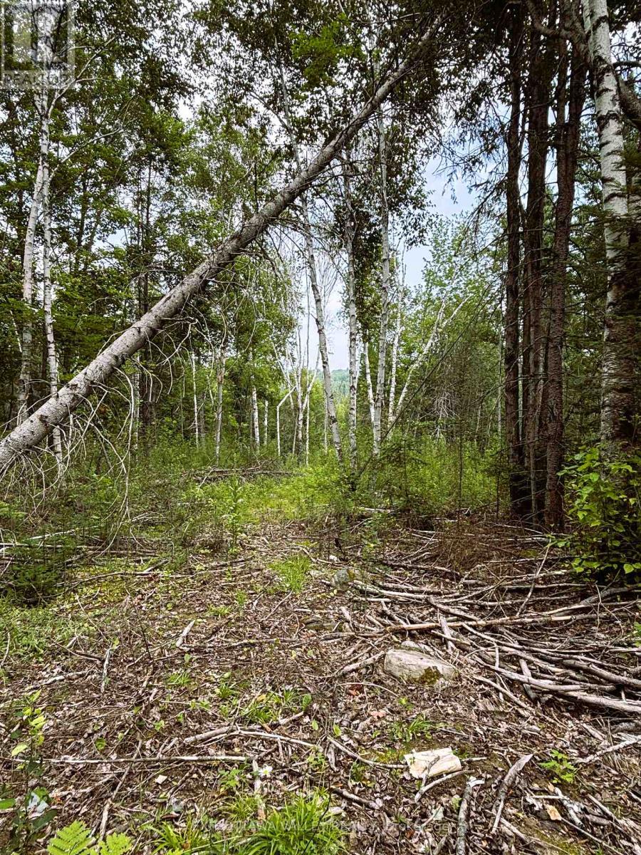 001 Siberia Road, Madawaska Valley, Ontario  K0J 1B0 - Photo 12 - X12312462