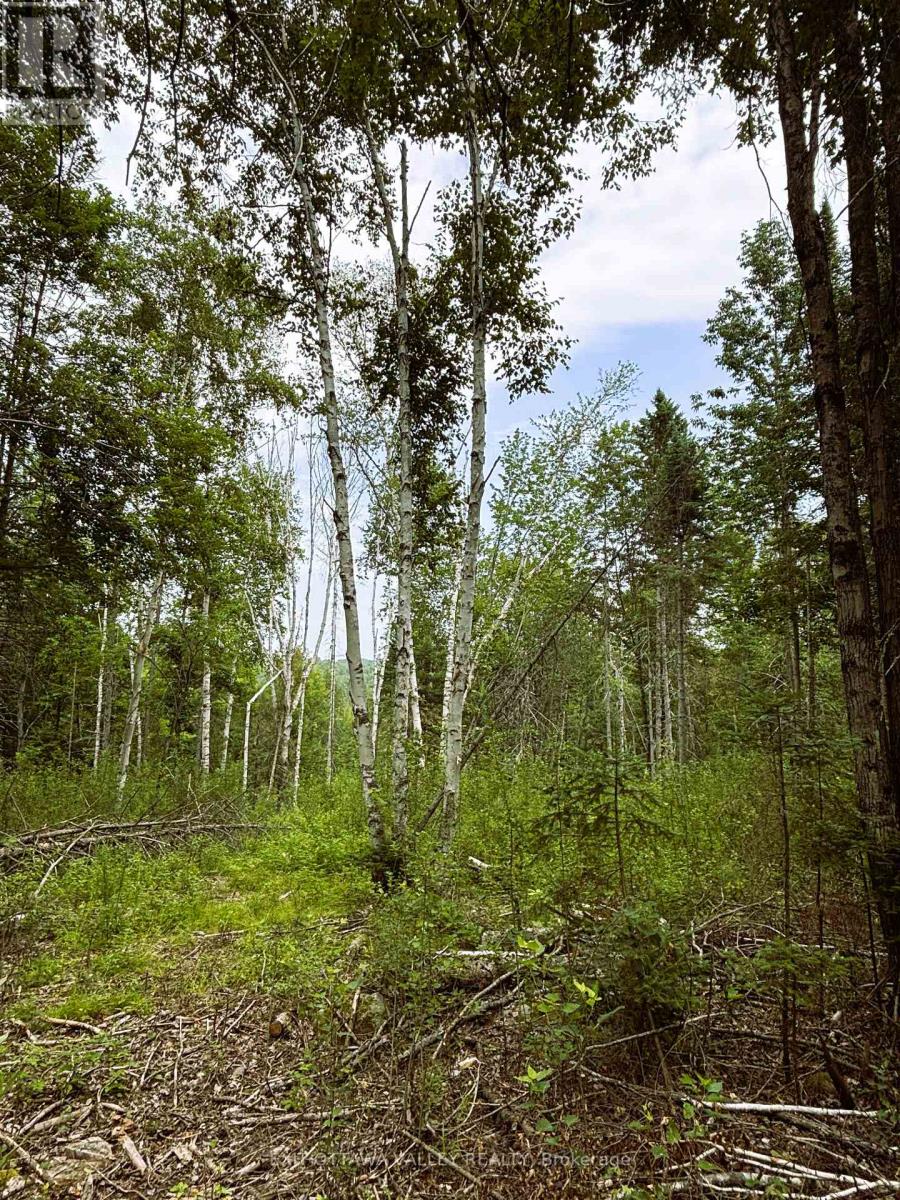 001 Siberia Road, Madawaska Valley, Ontario  K0J 1B0 - Photo 11 - X12312462