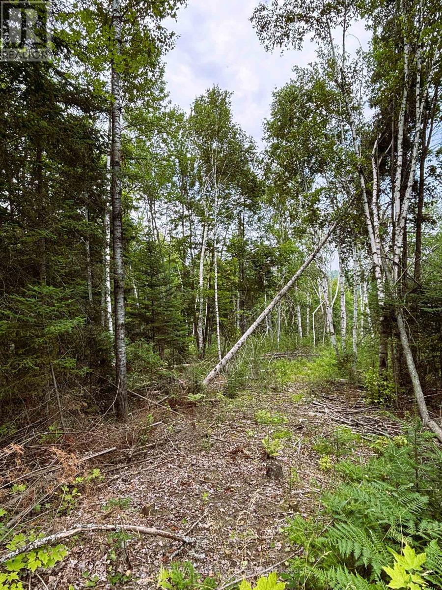 001 Siberia Road, Madawaska Valley, Ontario  K0J 1B0 - Photo 13 - X12312462