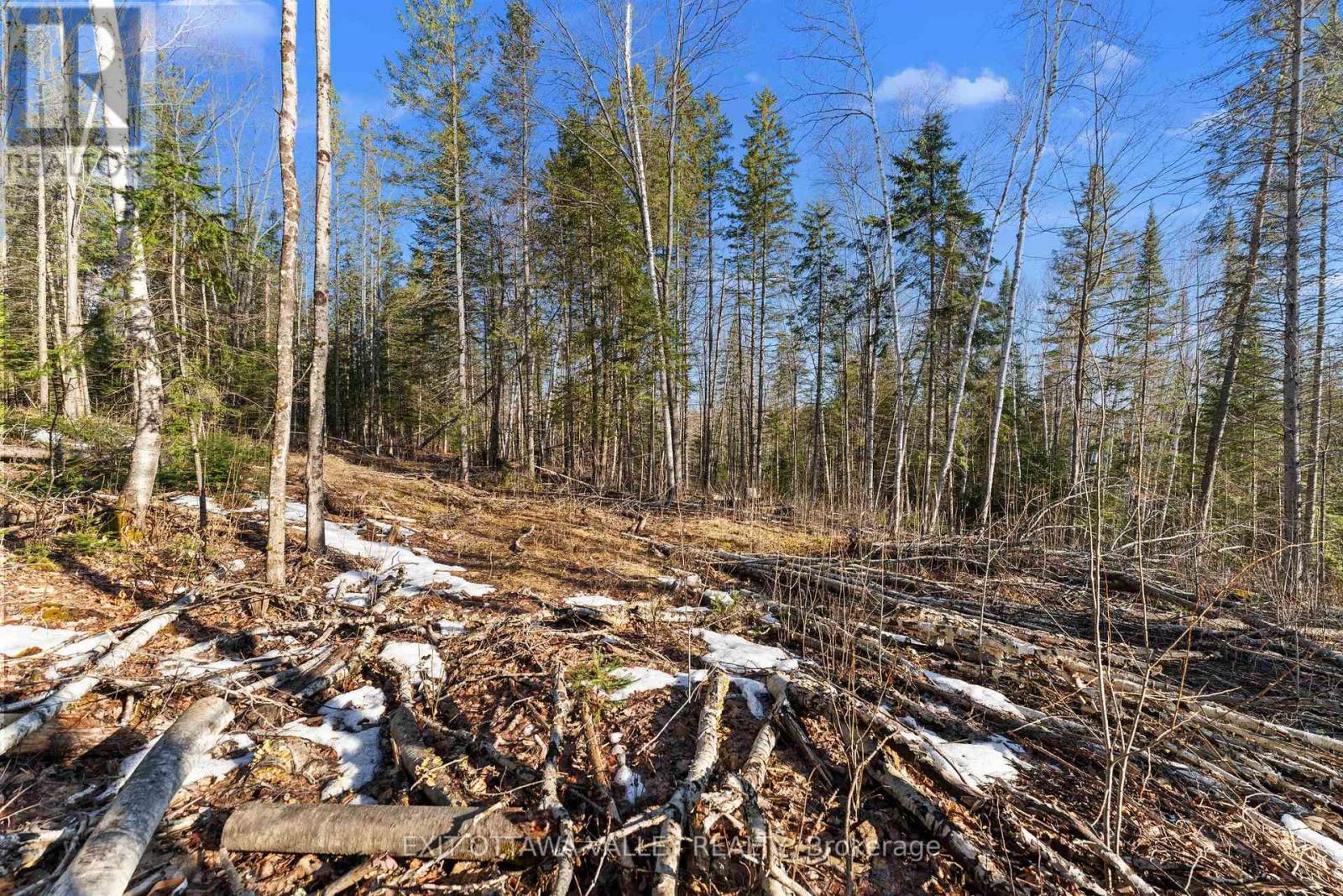 001 Siberia Road, Madawaska Valley, Ontario  K0J 1B0 - Photo 20 - X12312462