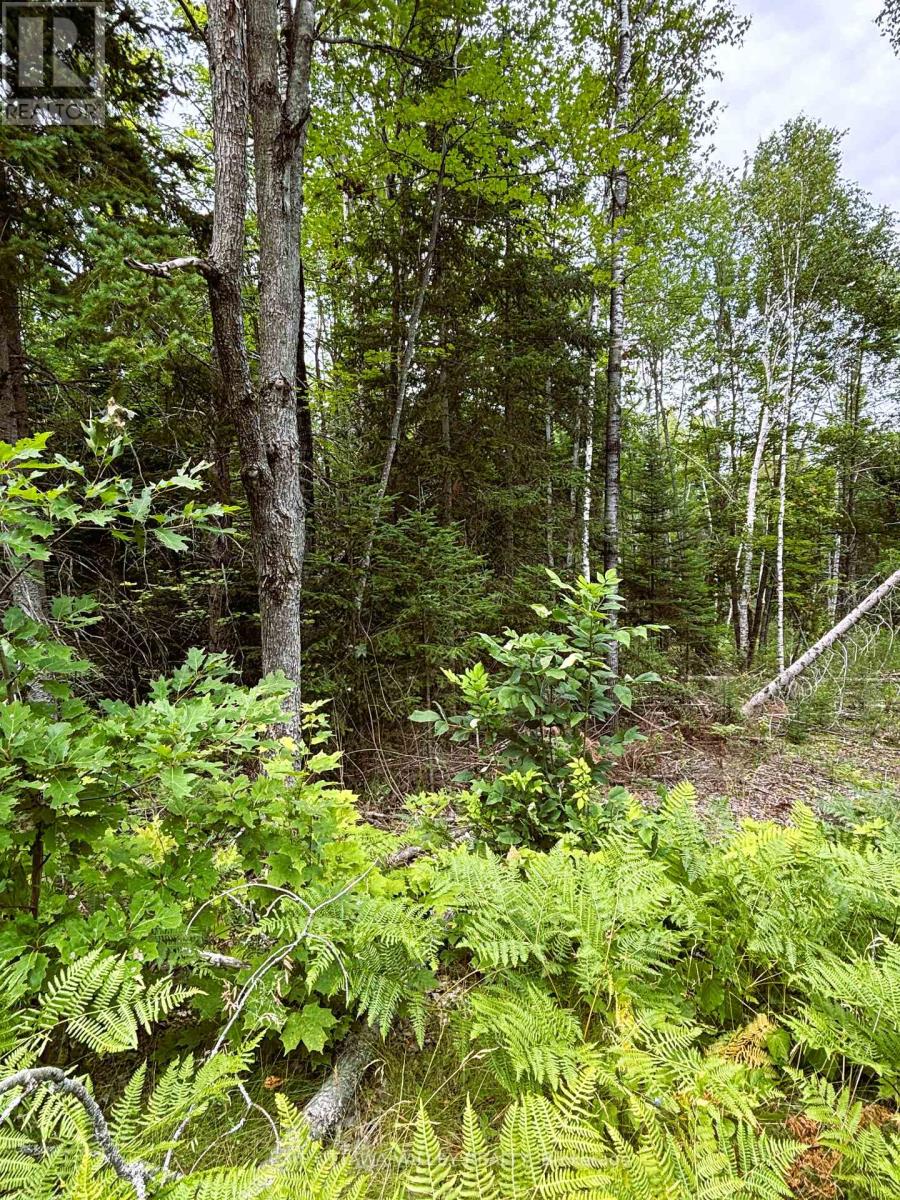 001 Siberia Road, Madawaska Valley, Ontario  K0J 1B0 - Photo 14 - X12312462