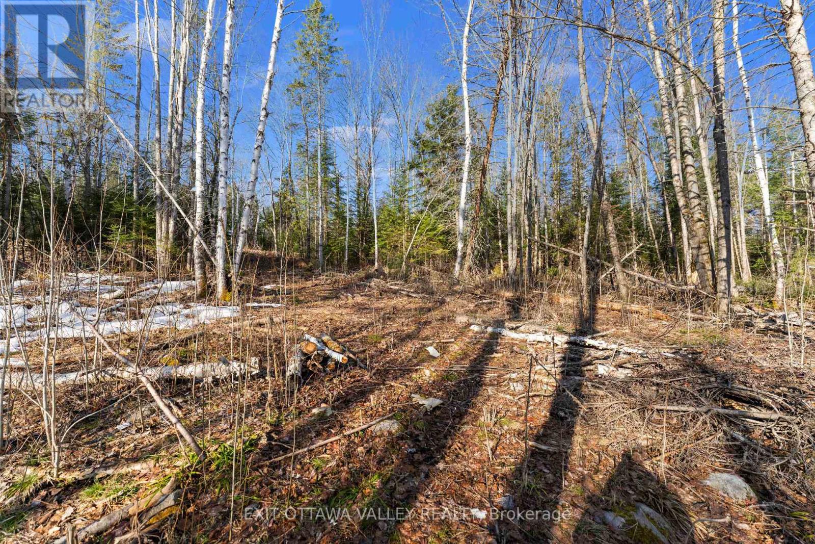 001 Siberia Road, Madawaska Valley, Ontario  K0J 1B0 - Photo 31 - X12312462